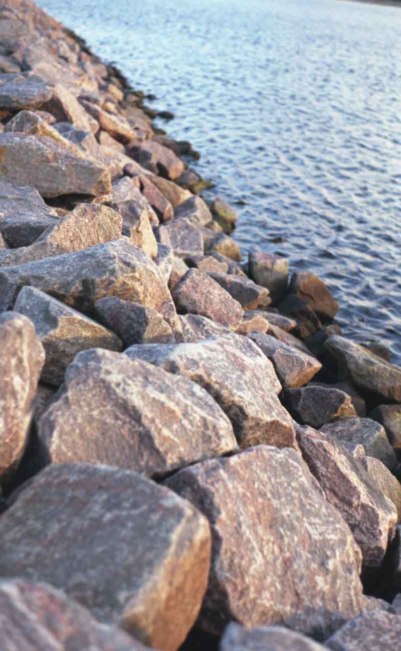 shorerocks